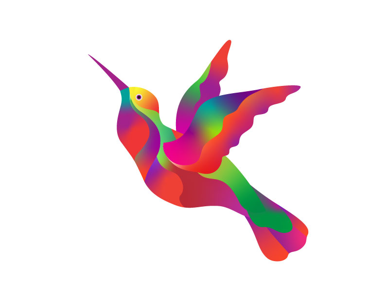 グラデーションカラーの鳥